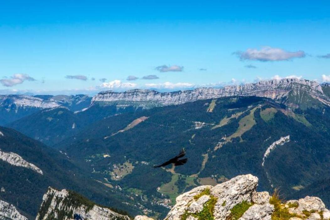 Le Mas Dauphinois Le Grand-Lemps Buitenkant foto